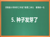 苏教版小学科学三上第二单元《5 种子发芽了》课件+教案+视频