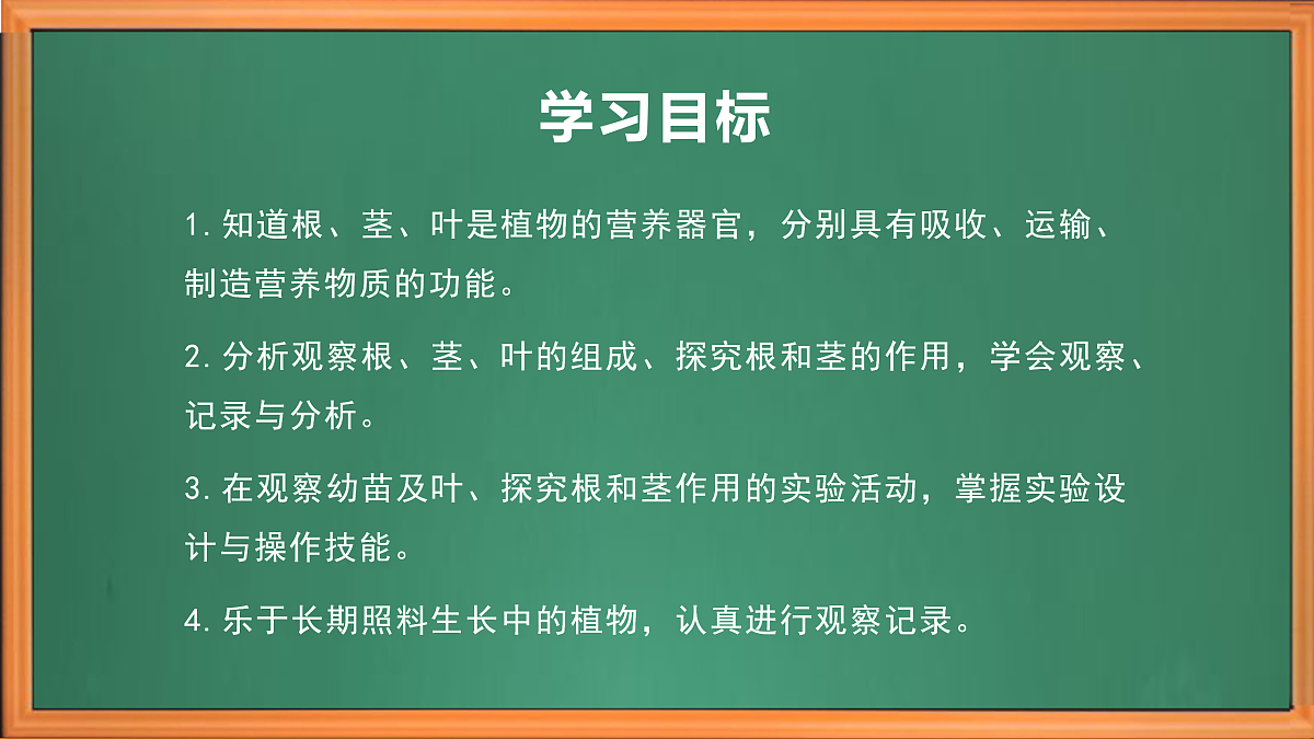 苏教版小学科学三年级下册第一单元《6.幼苗长大了》课件+作业设计+视频第3页