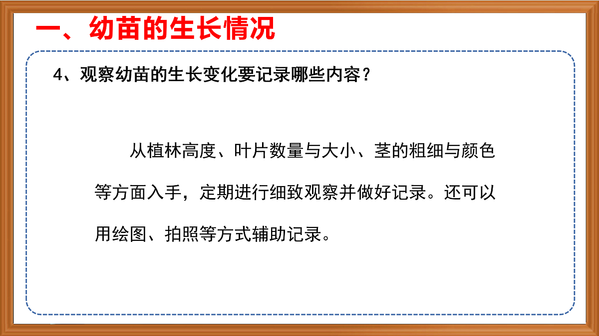 苏教版小学科学三年级下册第一单元《6.幼苗长大了》课件+作业设计+视频第7页