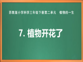 苏教版小学科学三下第二单元《7 植物开花了》课件+教案+视频