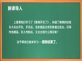 苏教版小学科学三下第二单元《8 植物结果了》课件+教案+视频