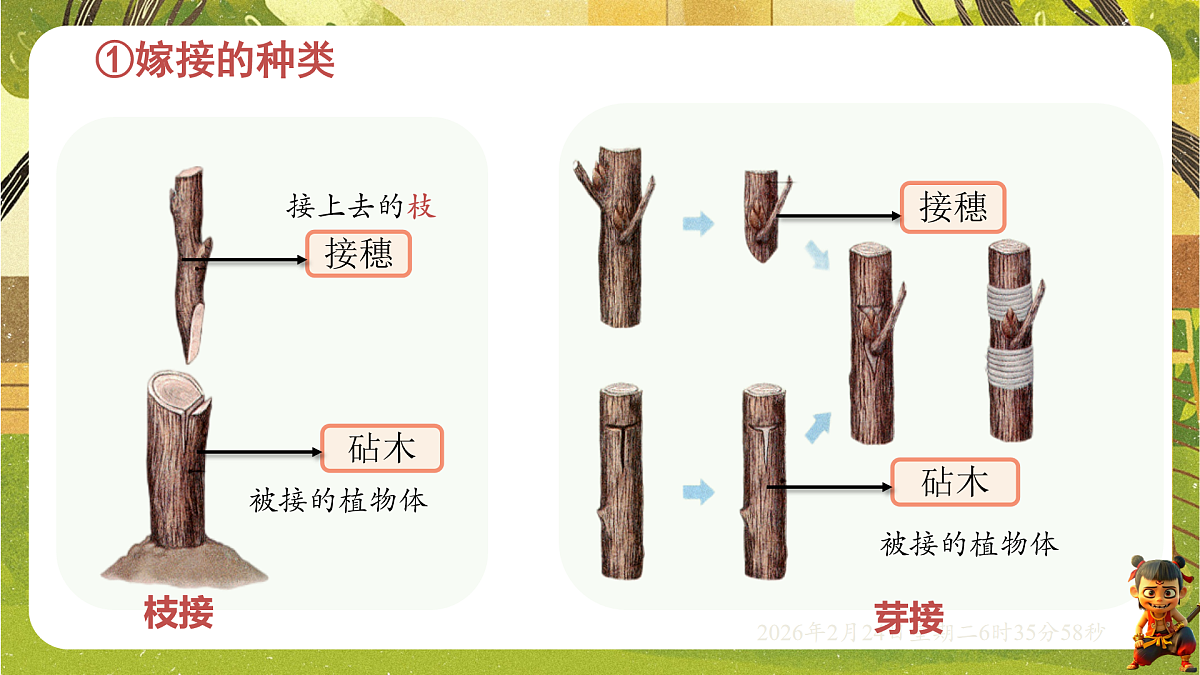 17949491第8页