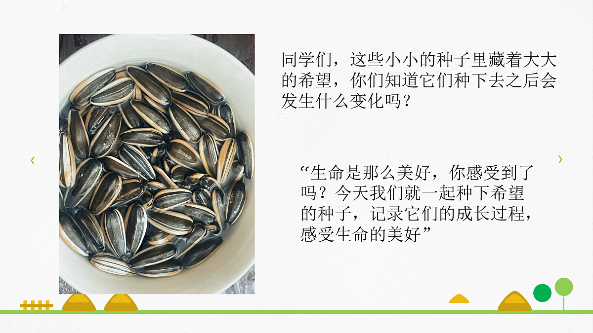 一粒种子的生命旅程第5页