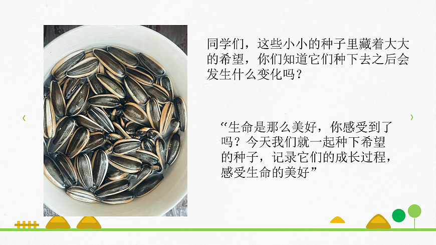 一粒种子的生命旅程第5页