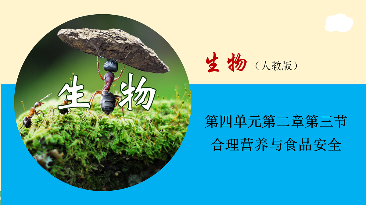 17950864第1页
