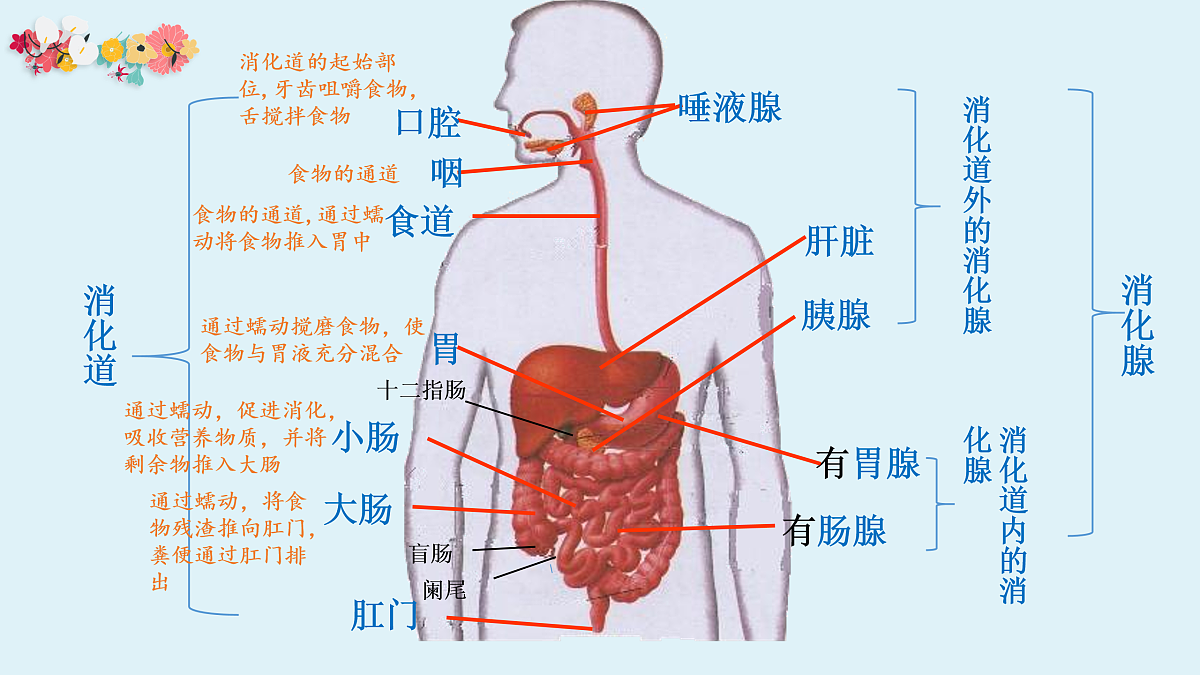 17950865第4页