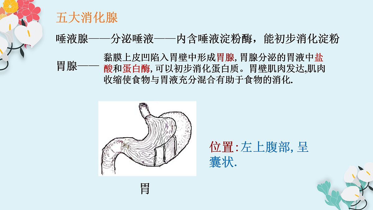 17950865第5页