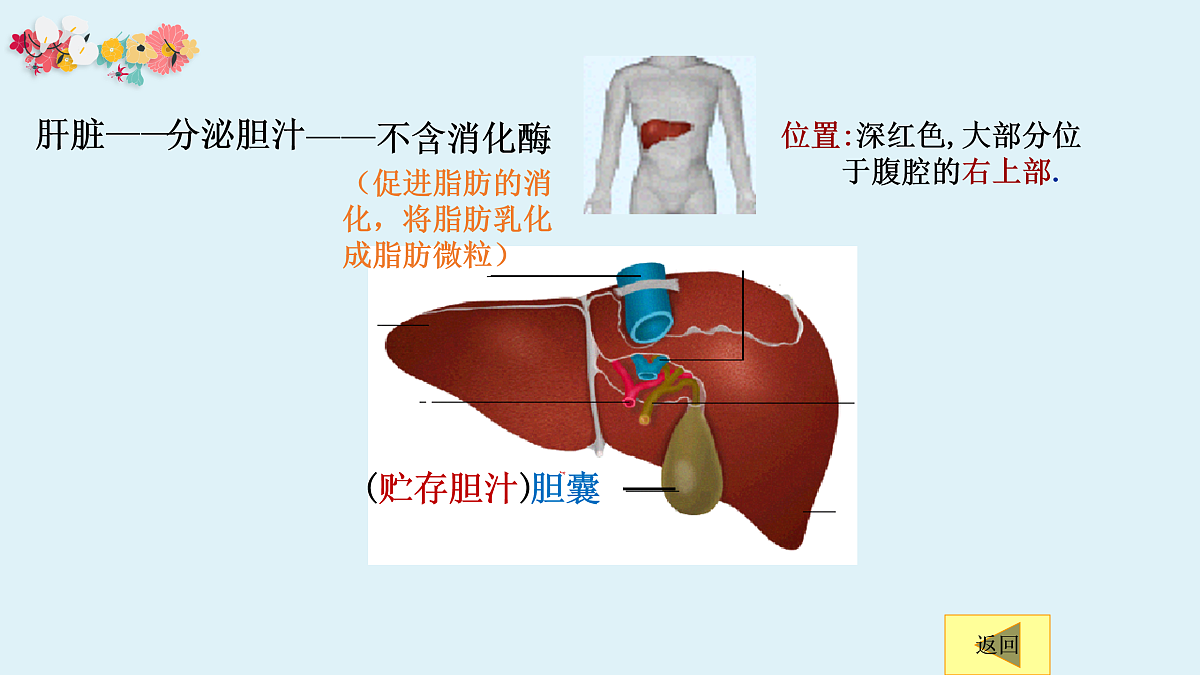 17950865第6页