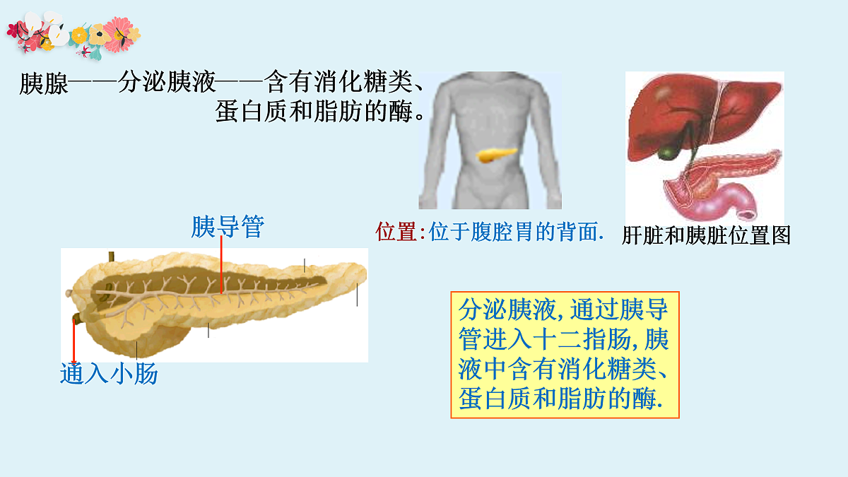 17950865第7页
