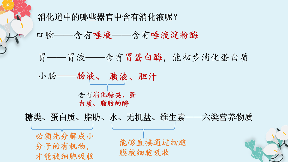 17950865第8页