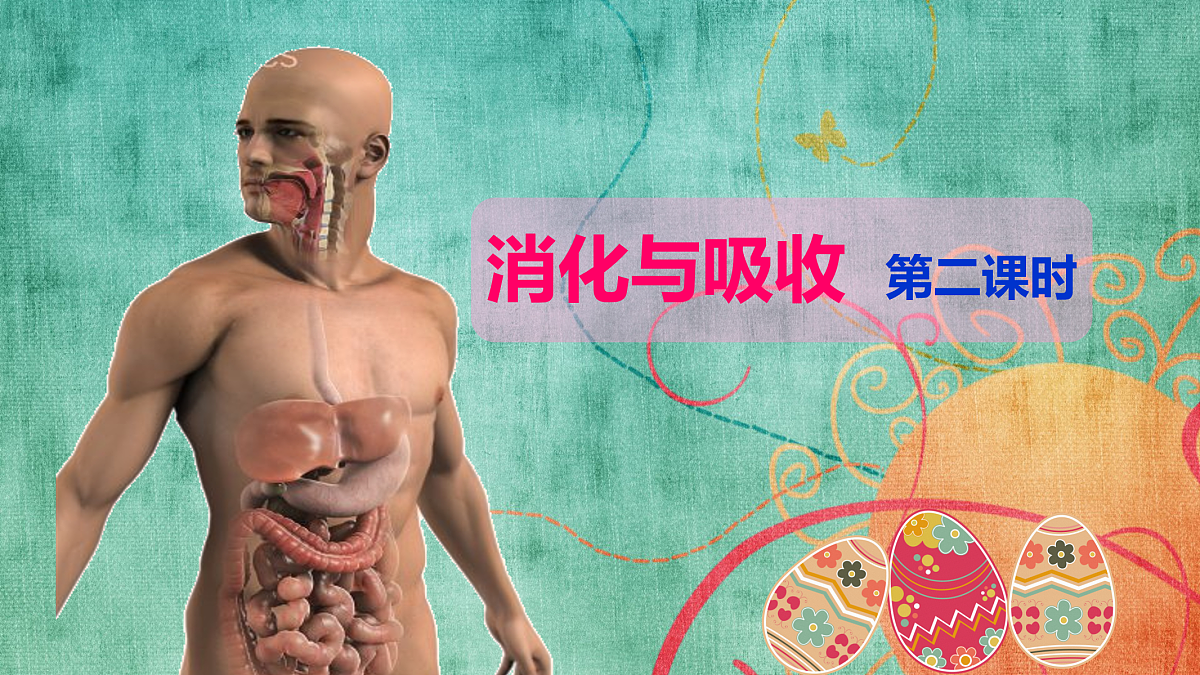 17950866第1页