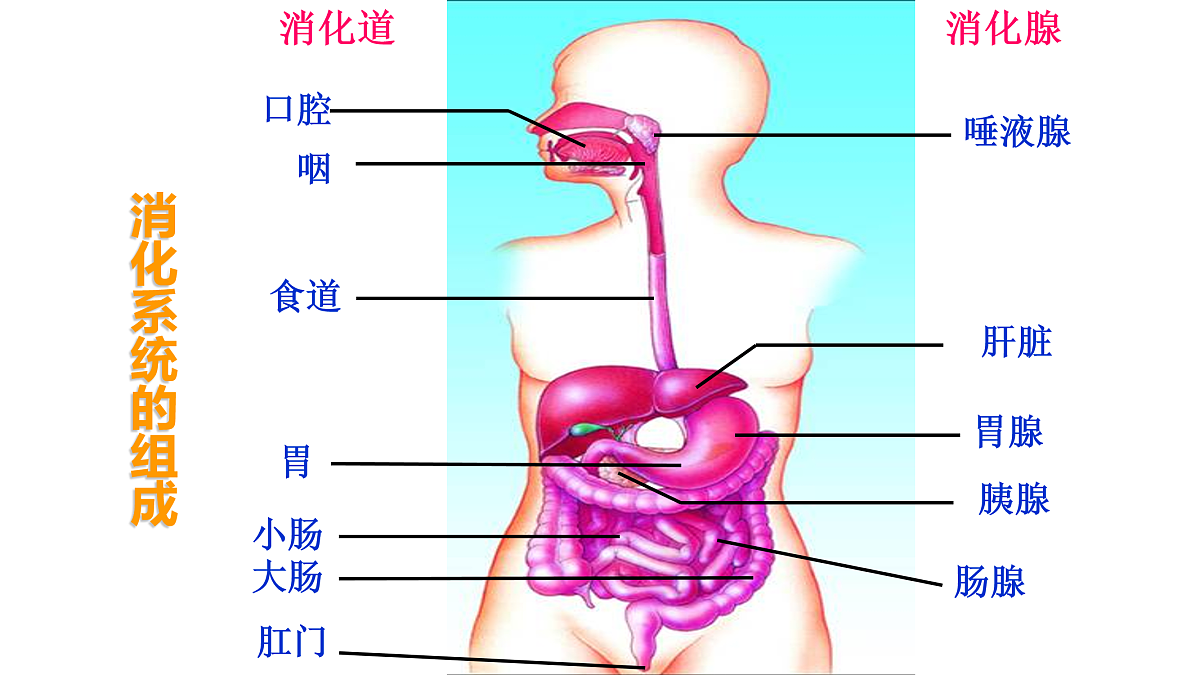 17950866第3页