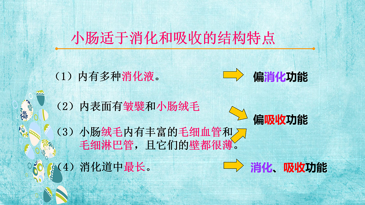 17950866第6页