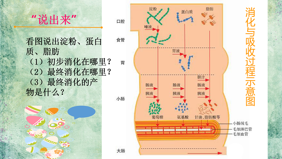 17950866第8页