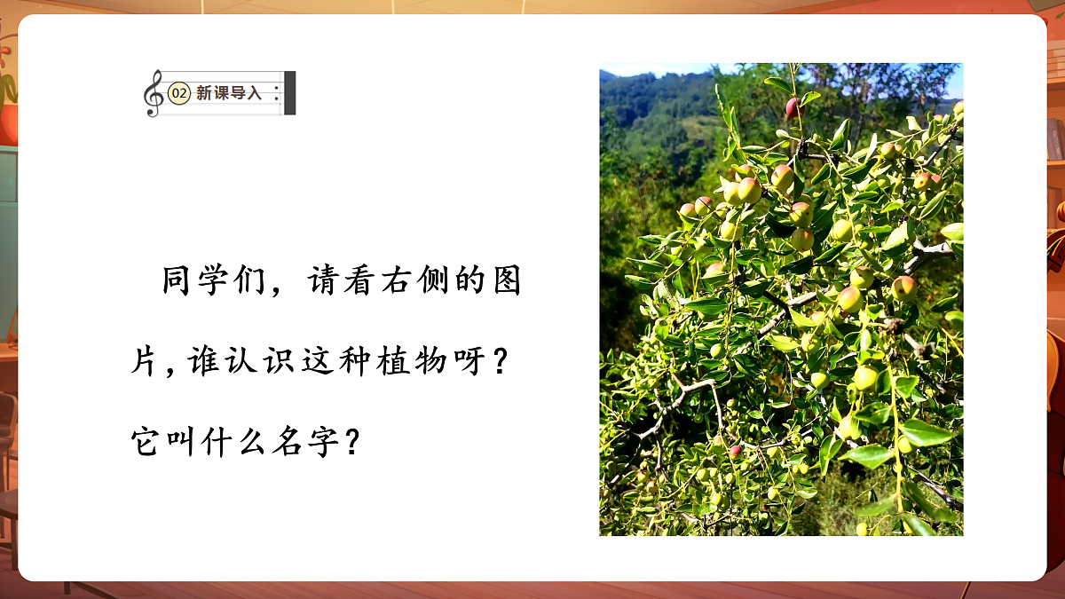 【新教材】人音版音乐二年级下册第二单元-《酸枣刺》-课件第4页
