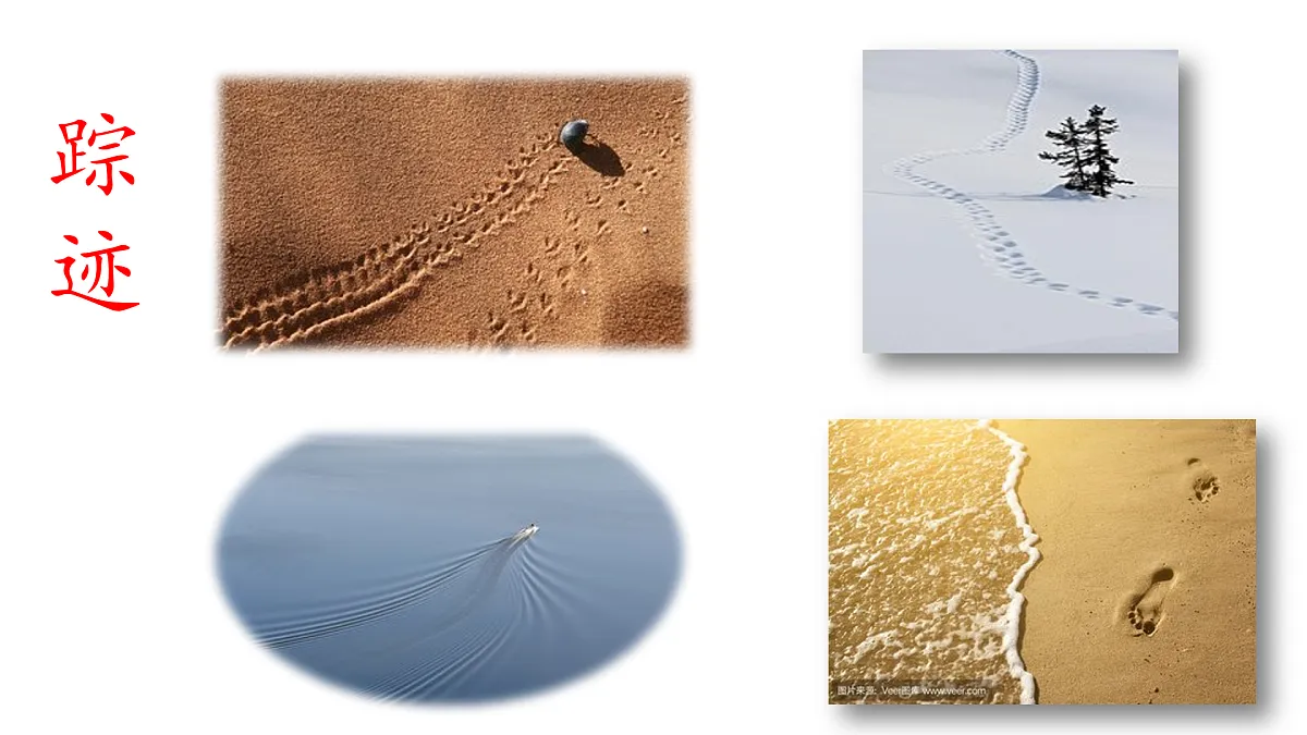 《古诗二首》教学课件（第1课时）第8页