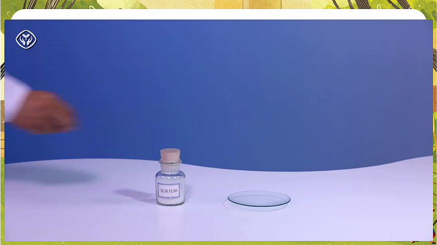 17953006第6页