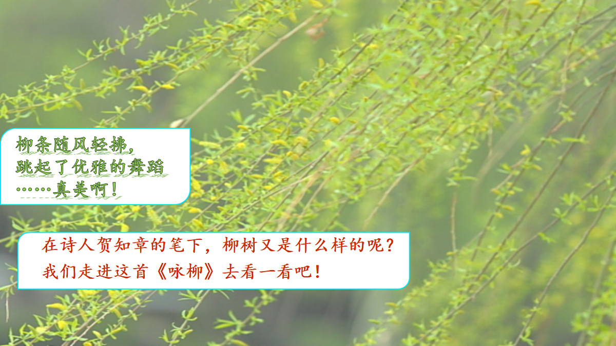 17953071第2页