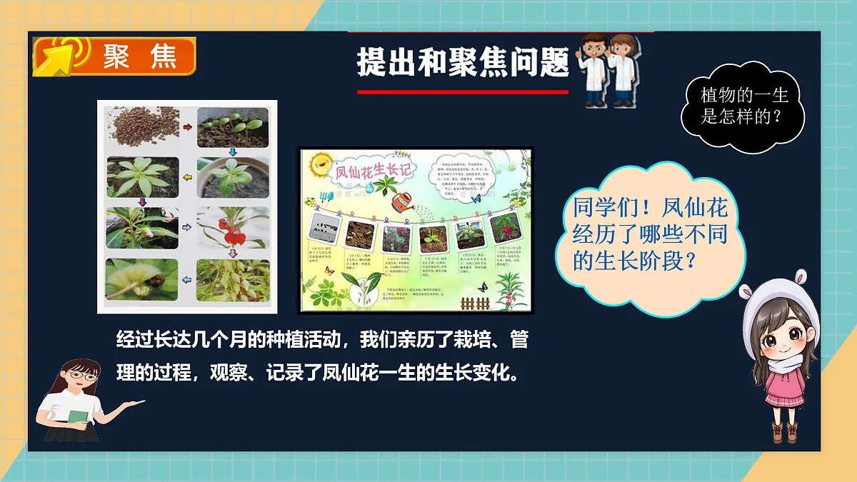 植物的一生》课件+实验视频第2页