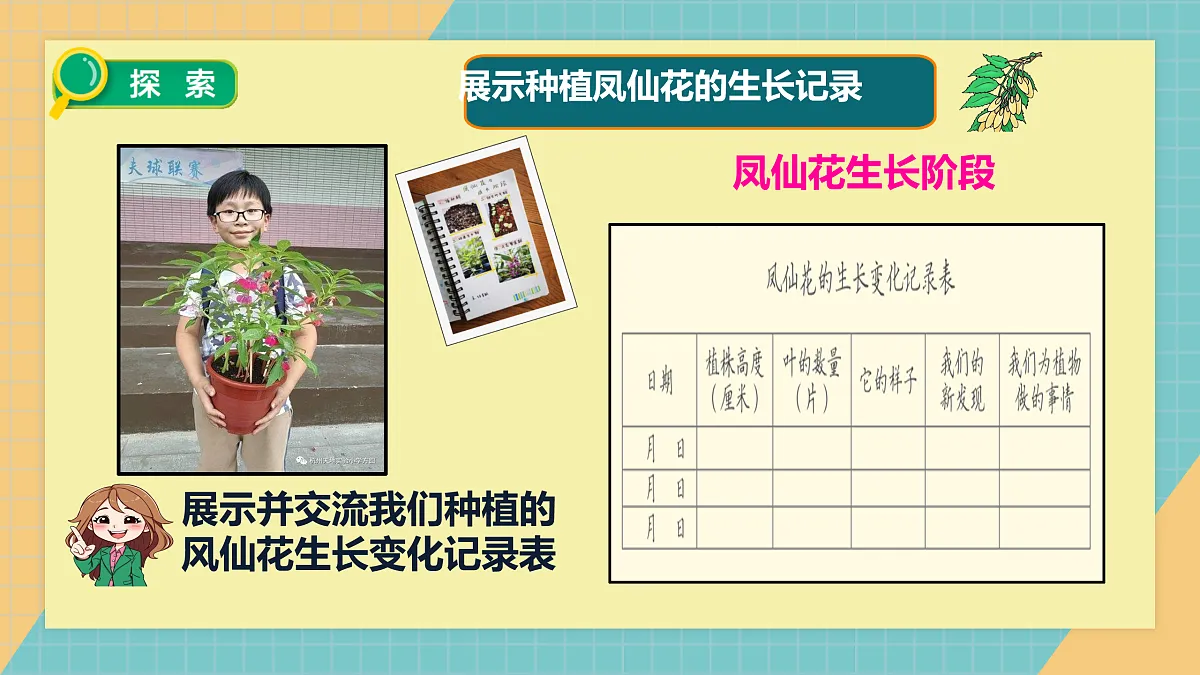 植物的一生》课件+实验视频第6页