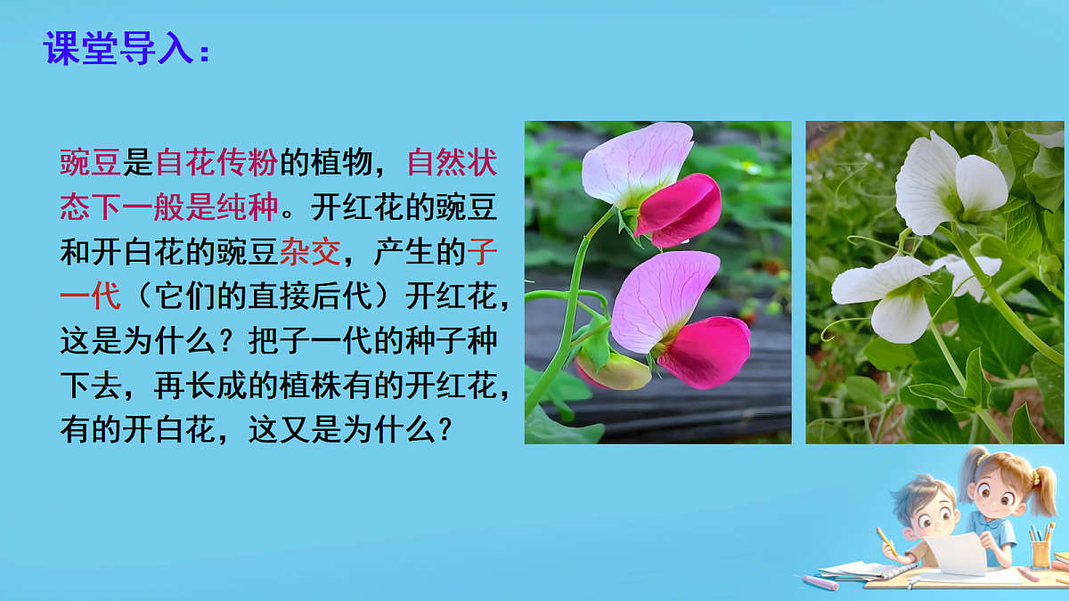 17953530第2页