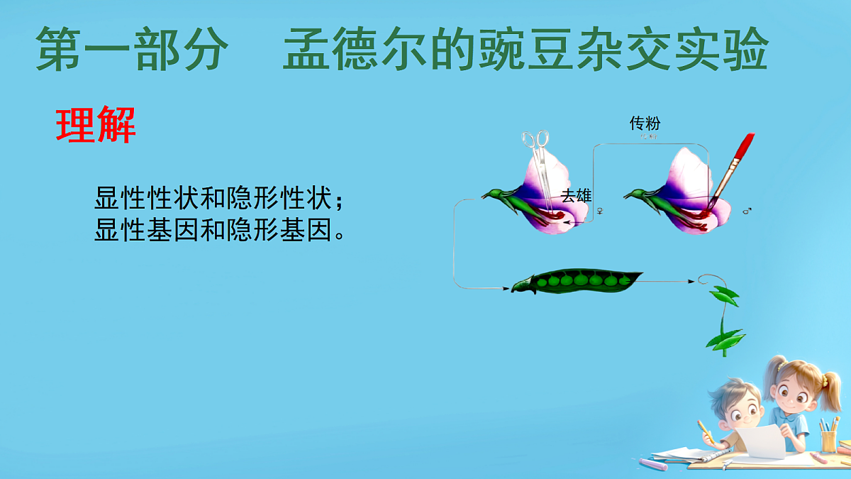 17953530第4页