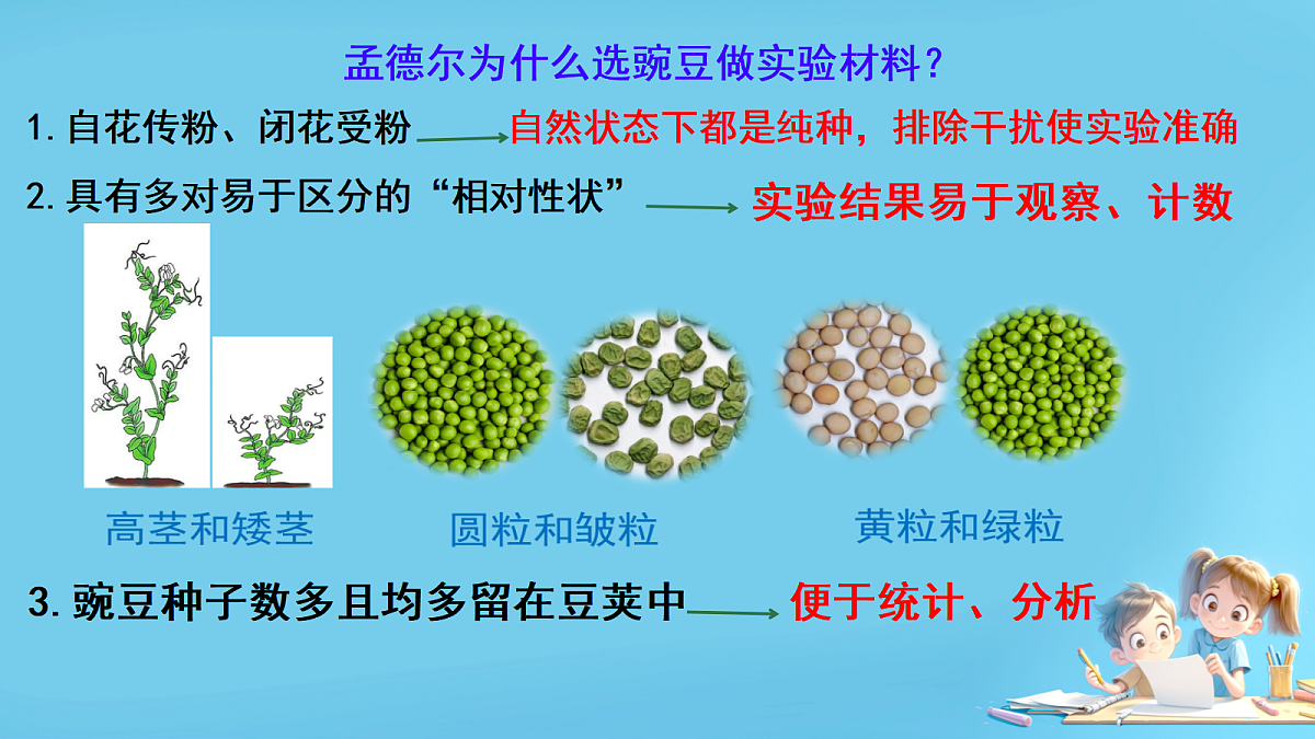 17953530第5页
