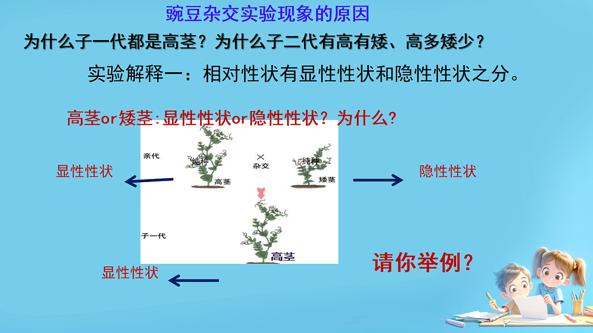 17953530第7页