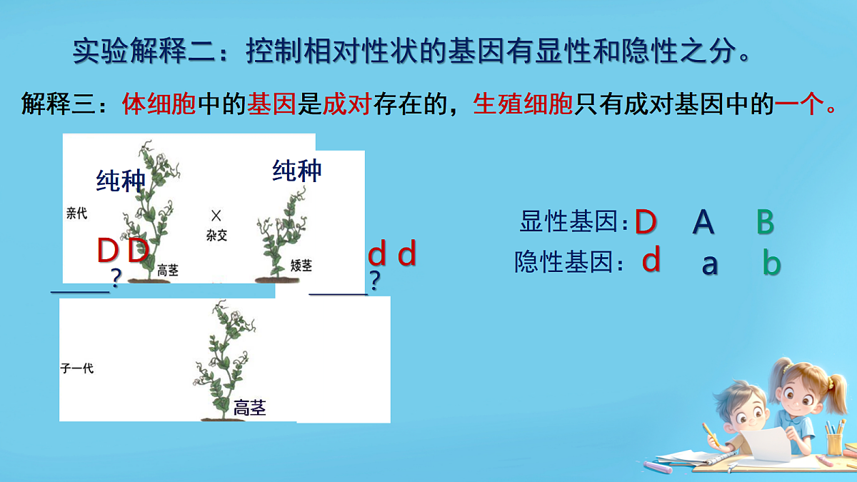 17953530第8页
