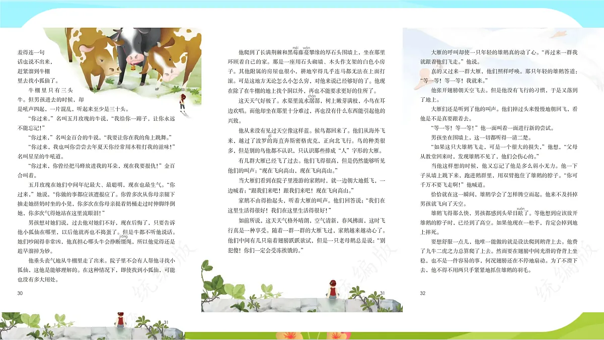 【课件】统编六下第2单元第6课《骑鹅旅行记》第6页