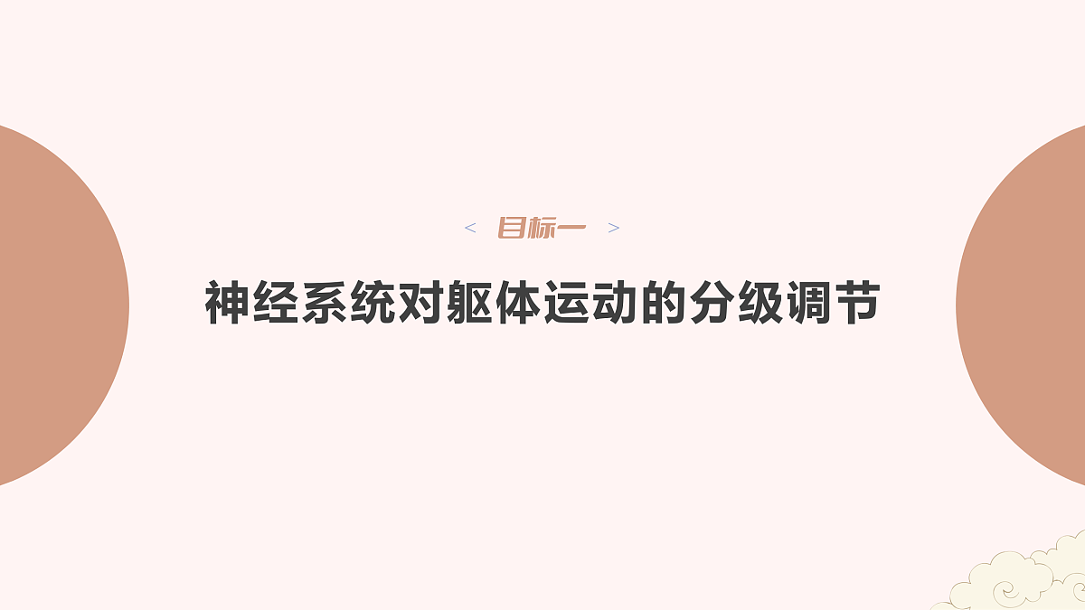 17954489第3页