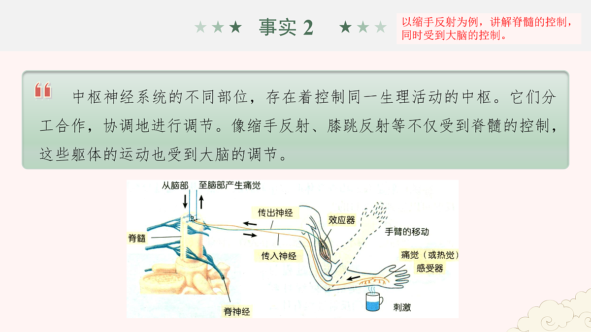 17954489第7页