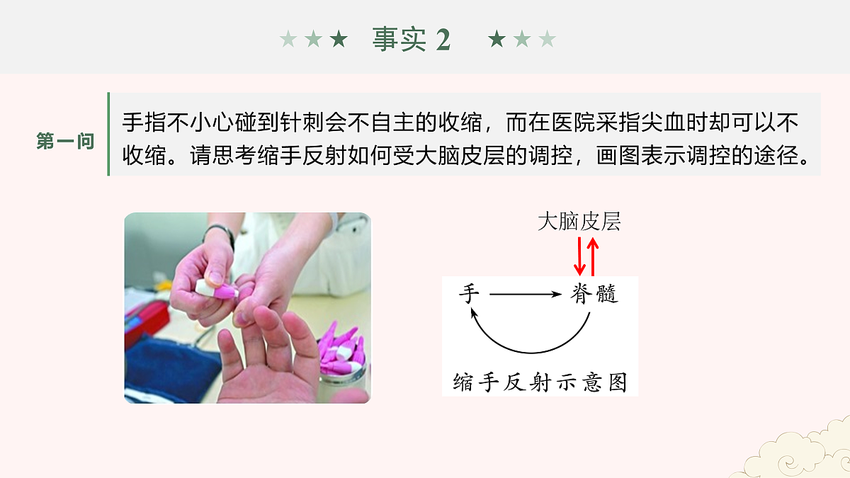 17954489第8页