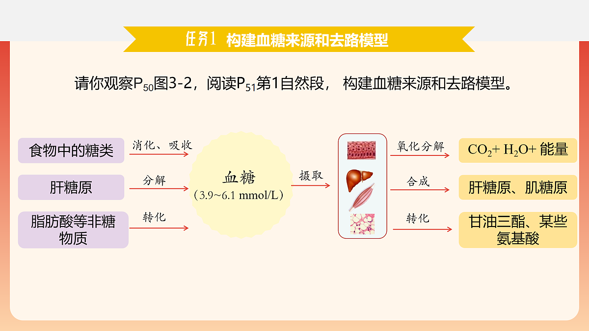 17954490第5页
