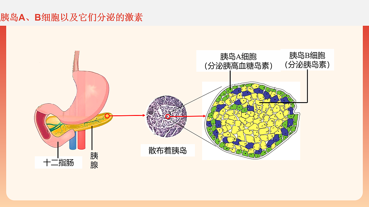 17954490第6页