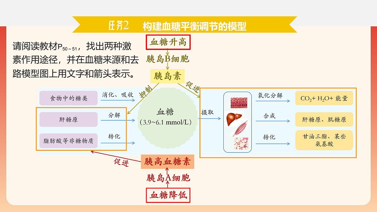 17954490第7页