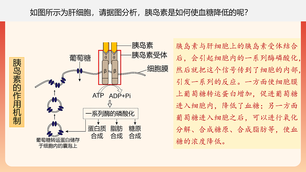 17954490第8页