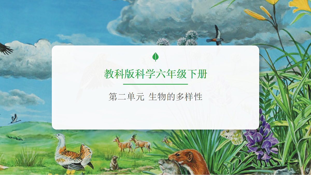 17954703第1页