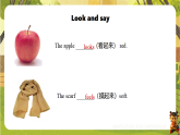 Unit 3 Lesson 2 Grammar-课件--2025-2026学年外研版英语七年级下册