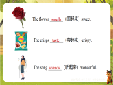 Unit 3 Lesson 2 Grammar-课件--2025-2026学年外研版英语七年级下册