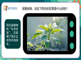 新湘美版小学二年级美术下册第三单元第三课下雨了课件+素材