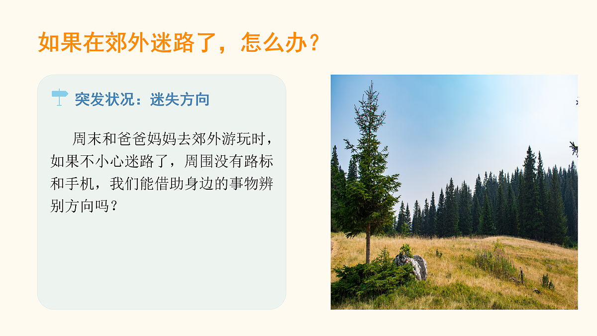 17955548第2页