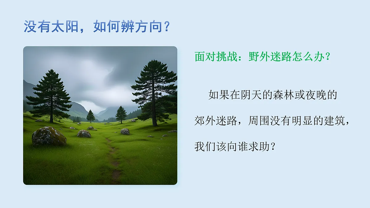 17955549第2页
