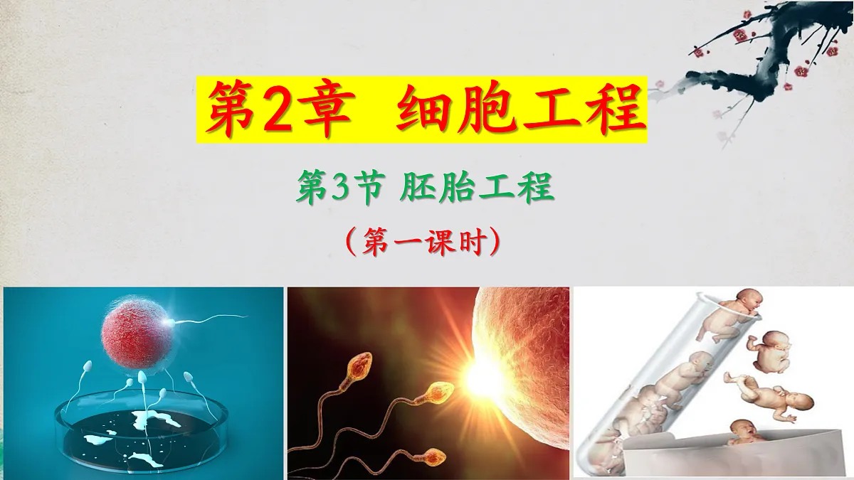 17955557第1页