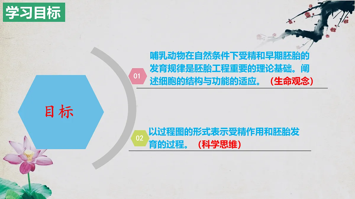 17955557第2页