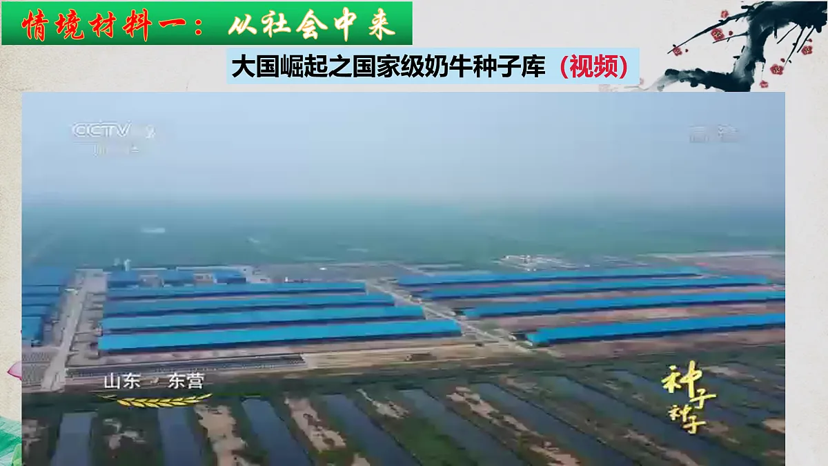 17955557第4页