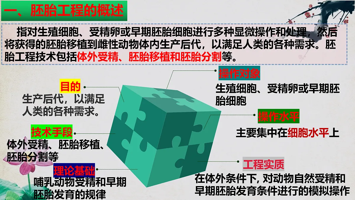 17955557第5页
