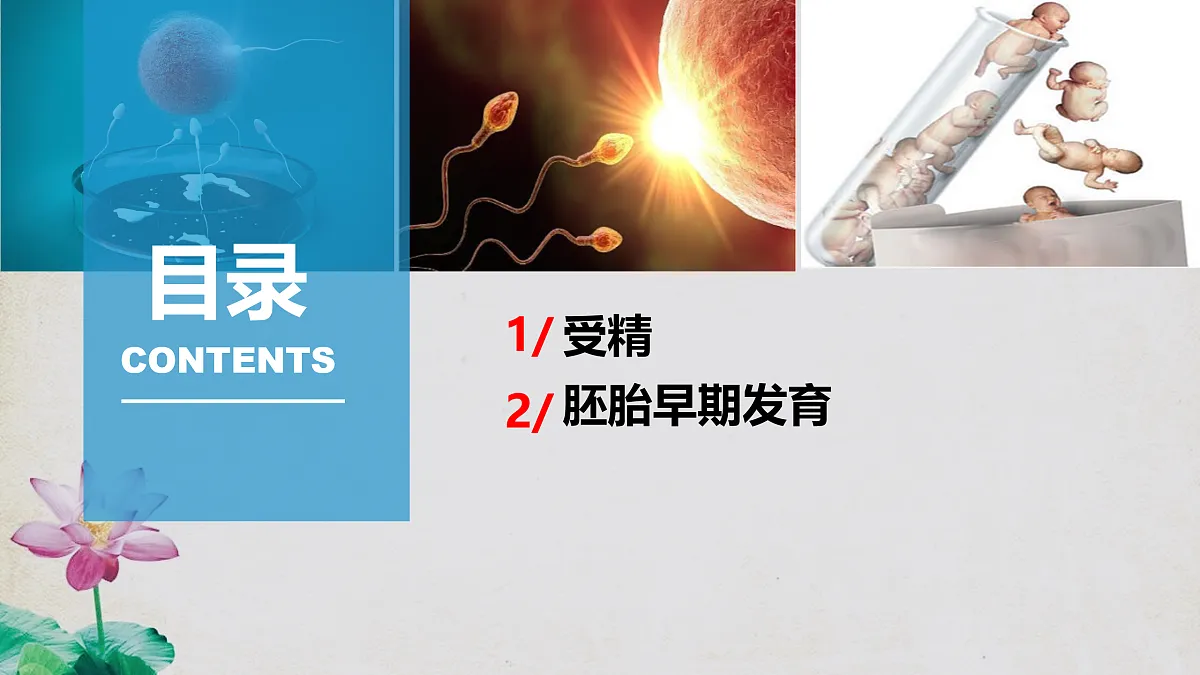 17955557第6页