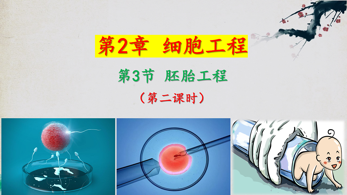 17955558第1页