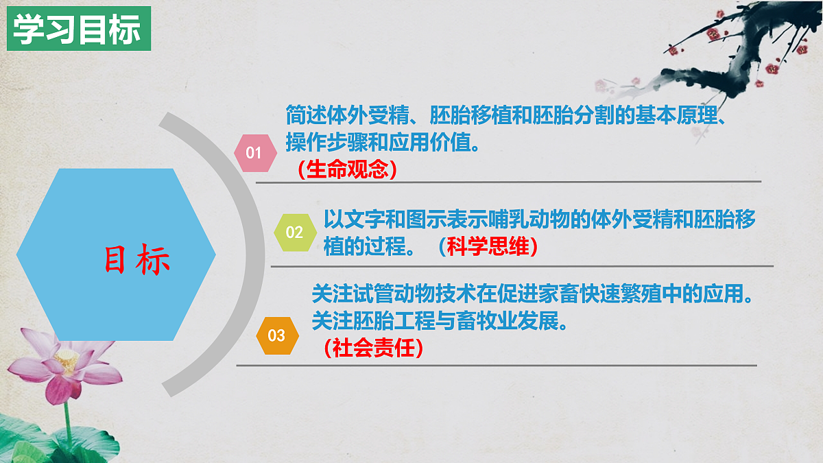 17955558第2页